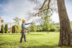 How Our Tree Care Process Works  in Stock Island, FL